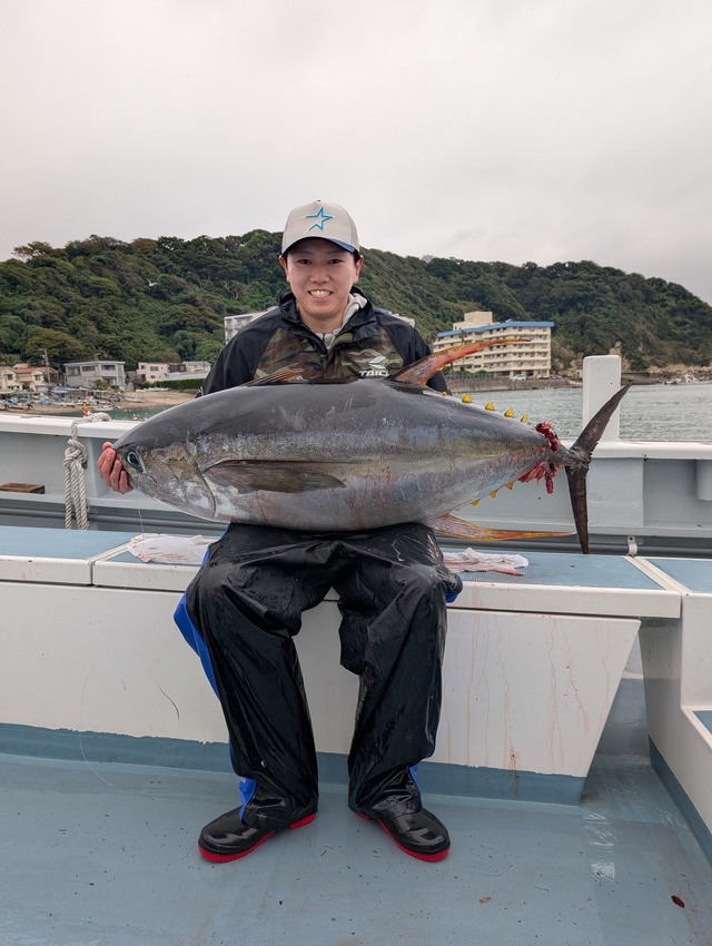 キハダマグロ(キハダ)