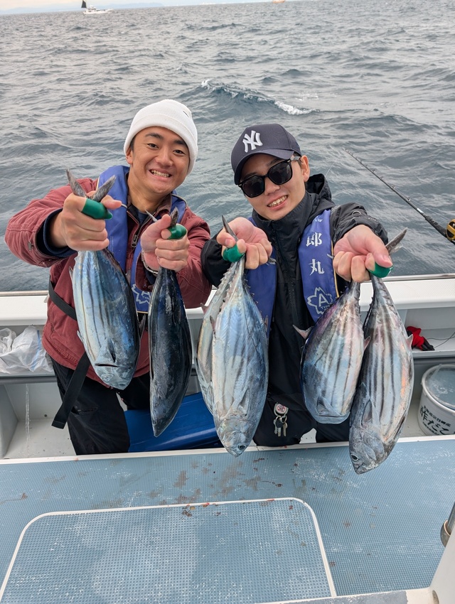 ホンガツオ(カツオ)