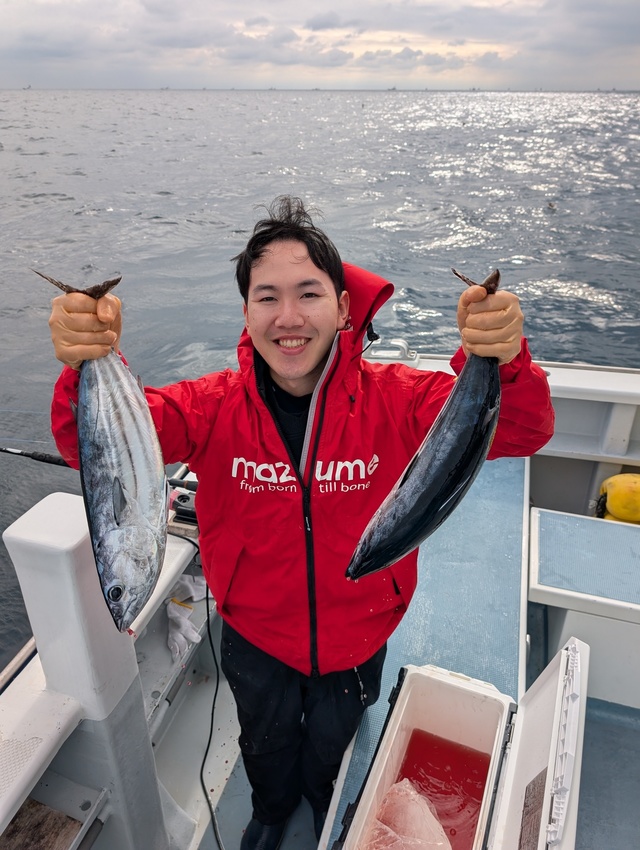 ホンガツオ(カツオ)