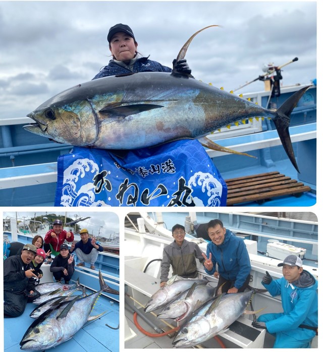 キハダマグロ(キハダ)