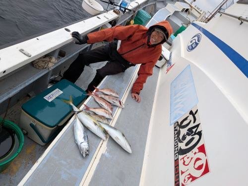 マダイ・イナダ(ブリ)