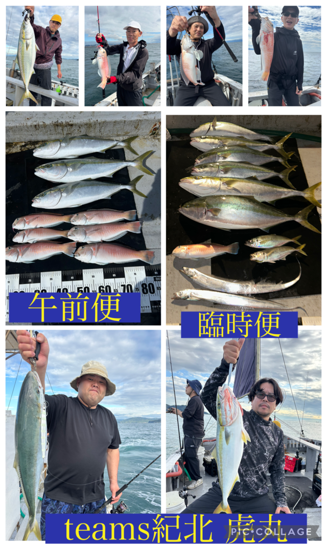 アジ(マアジ)・ブリ・メジロ(ブリ)・シロアマダイ・タチウオ