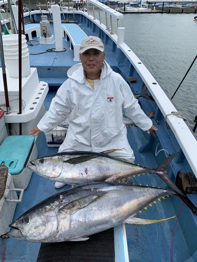 キハダマグロ(キハダ)