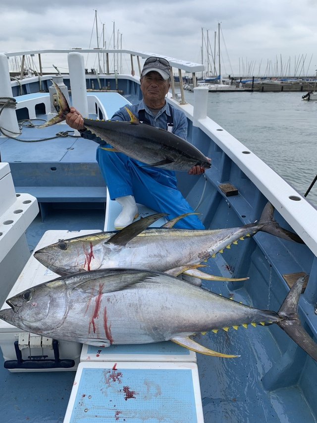 キハダマグロ(キハダ)