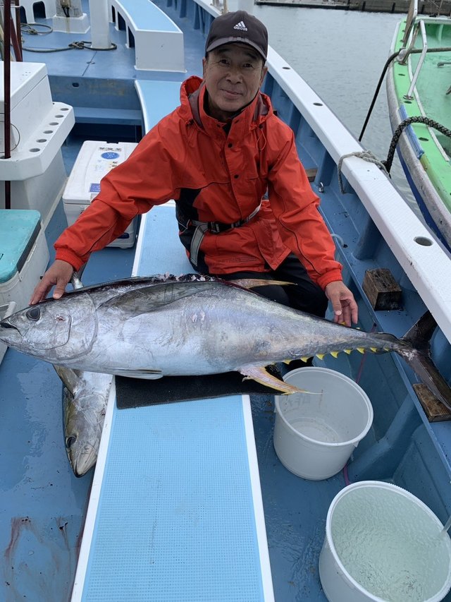 キハダマグロ(キハダ)