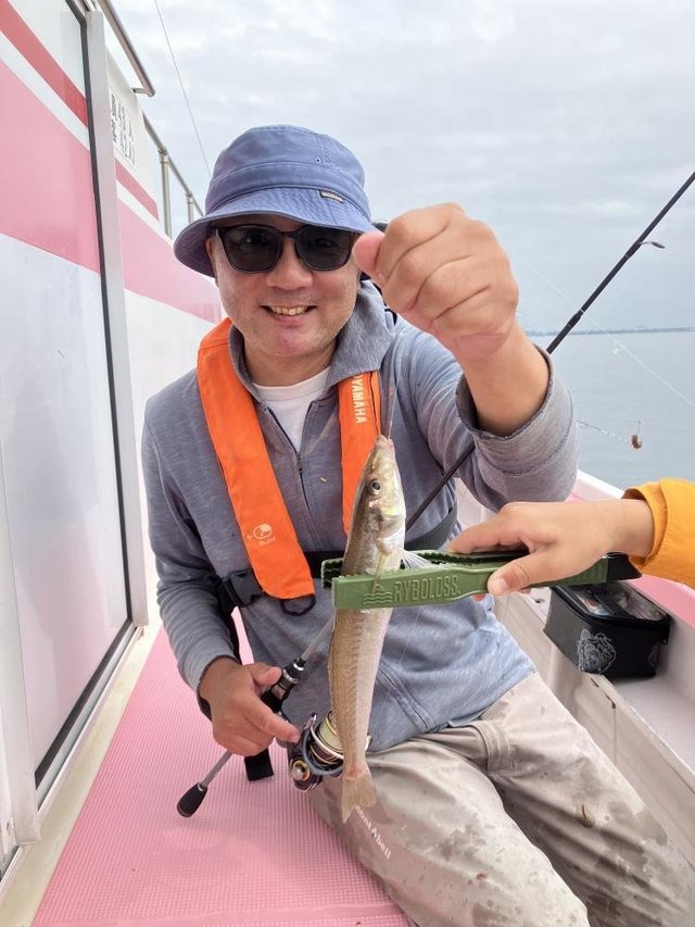 キス(シロギス)