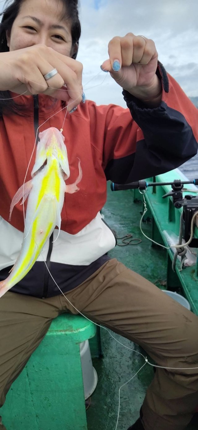 イトヨリ(イトヨリダイ)