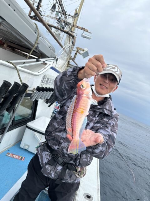 アマダイ(アカアマダイ)