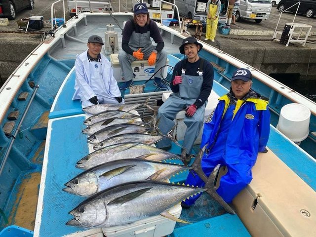 キハダ・キメジ(キハダ)