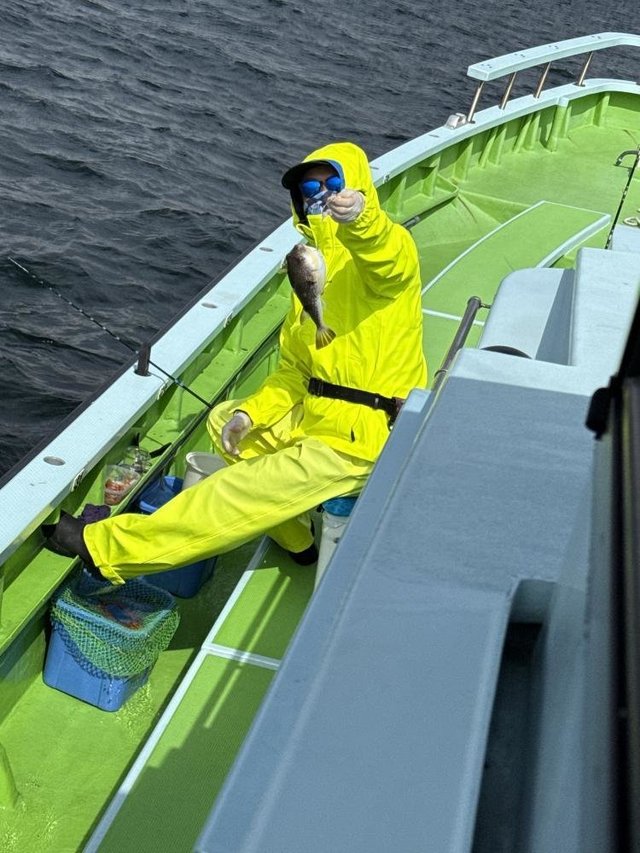 フグ(ショウサイフグ)