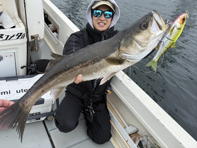 シーバス(スズキ)