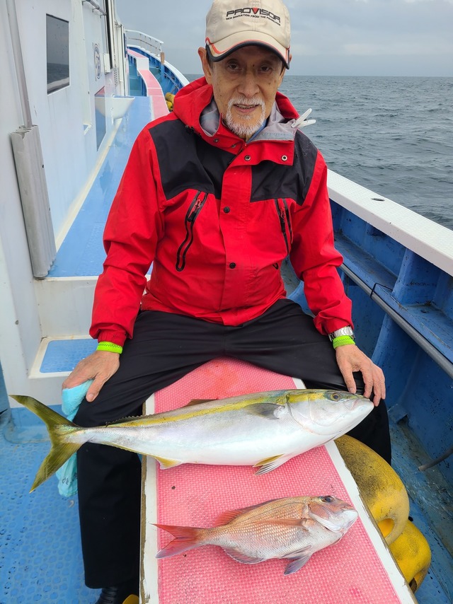 マダイ・ワラサ(ブリ)