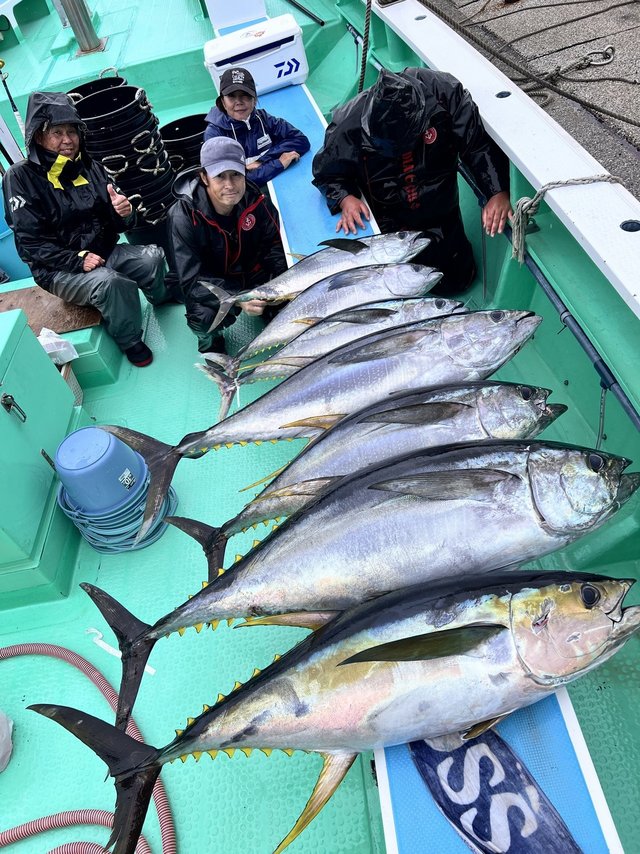 マグロ(キハダ)