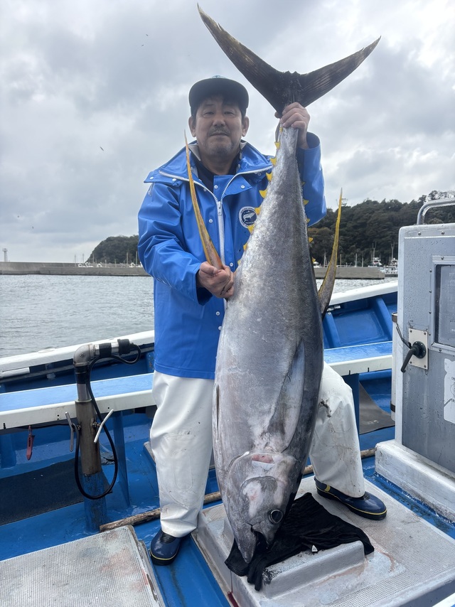 キハダマグロ(キハダ)