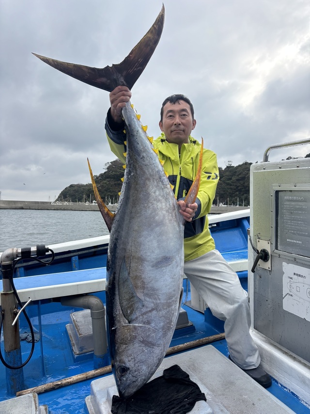 キハダマグロ(キハダ)