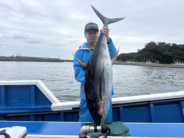 キハダマグロ(キハダ)