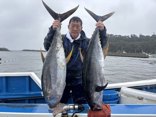 キハダマグロ(キハダ)