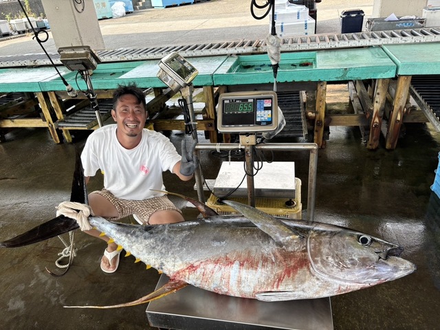 キハダマグロ(キハダ)