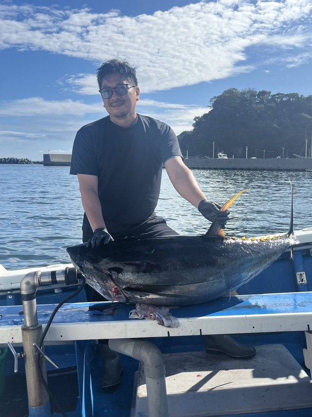 キハダマグロ(キハダ)