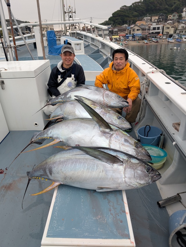 キハダマグロ(キハダ)