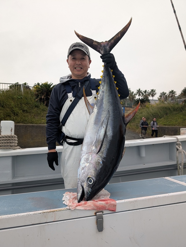 キハダマグロ(キハダ)