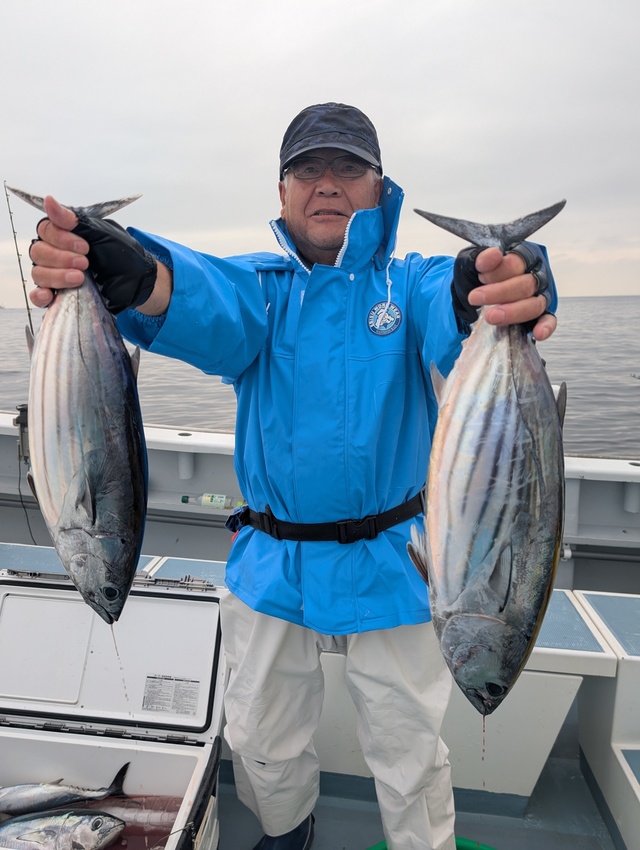 ホンガツオ(カツオ)