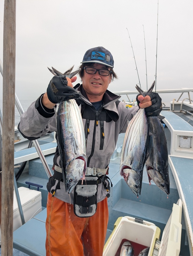 ホンガツオ(カツオ)