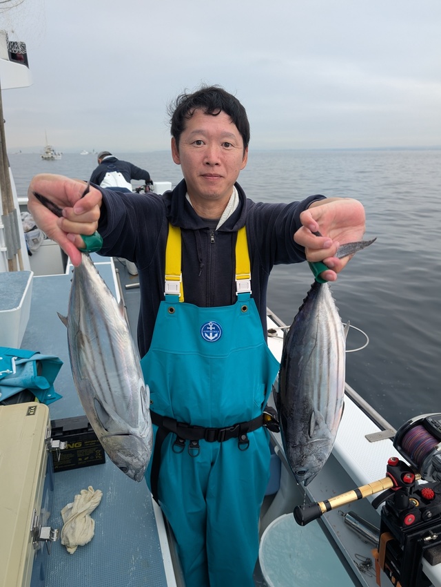 ホンガツオ(カツオ)