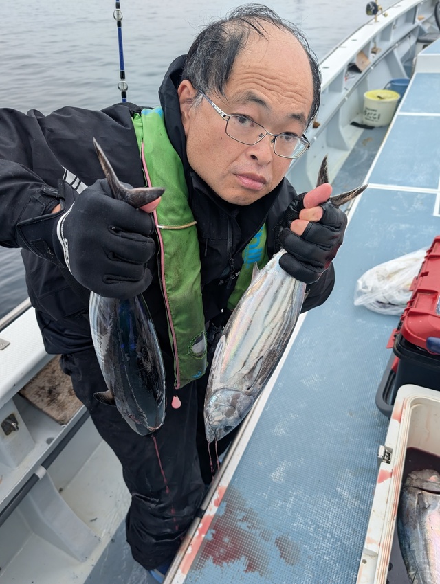 ホンガツオ(カツオ)