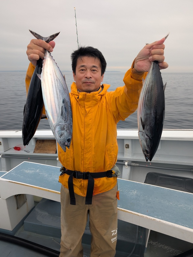 ホンガツオ(カツオ)