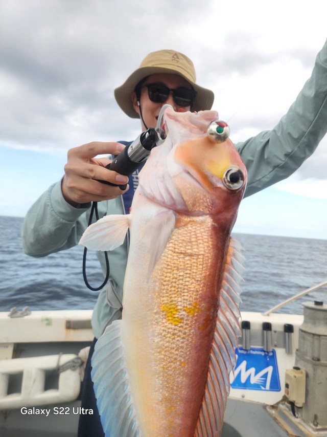 アマダイ(アカアマダイ)