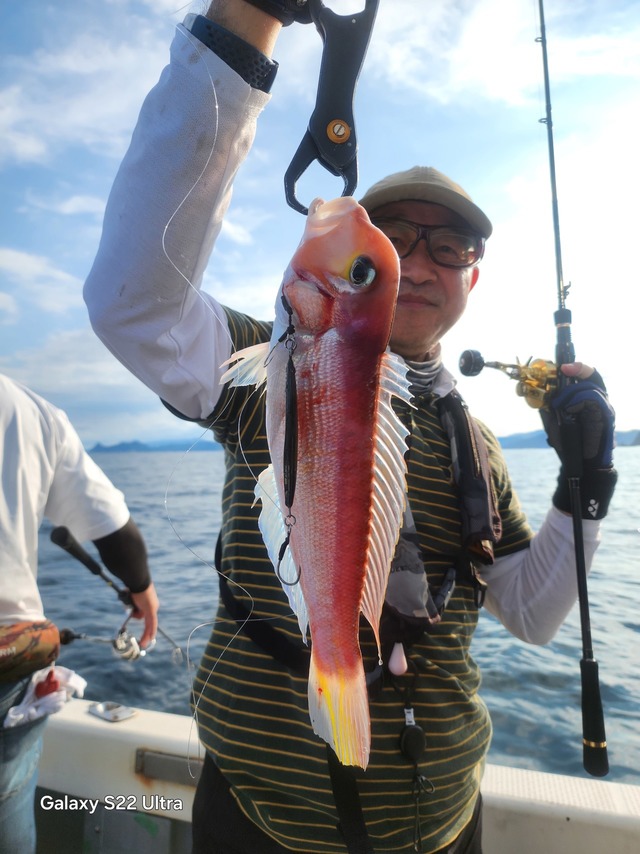 アマダイ(アカアマダイ)