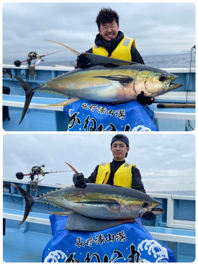 キハダマグロ(キハダ)