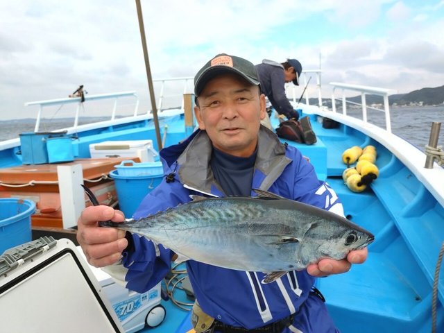 スマガツオ(スマ)