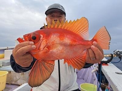 キントキ(チカメキントキ)