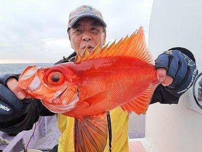 キントキ(チカメキントキ)