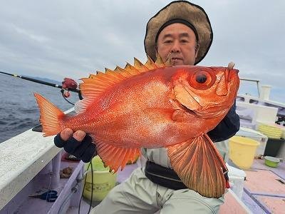 キントキ(チカメキントキ)