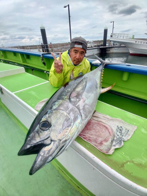 キハダマグロ(キハダ)