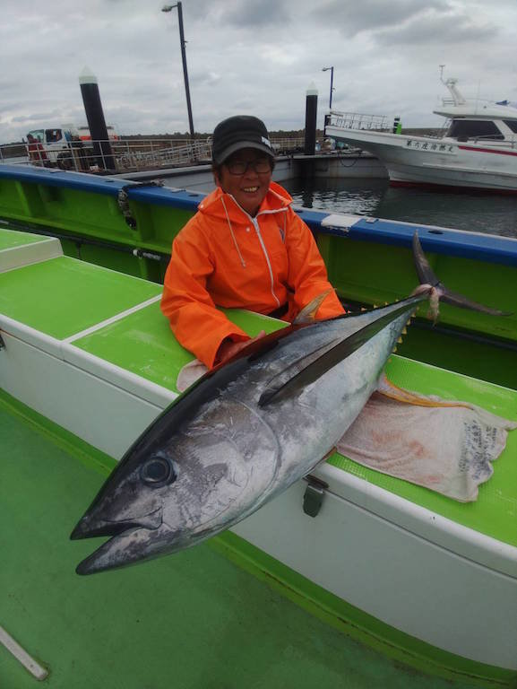 キハダマグロ(キハダ)