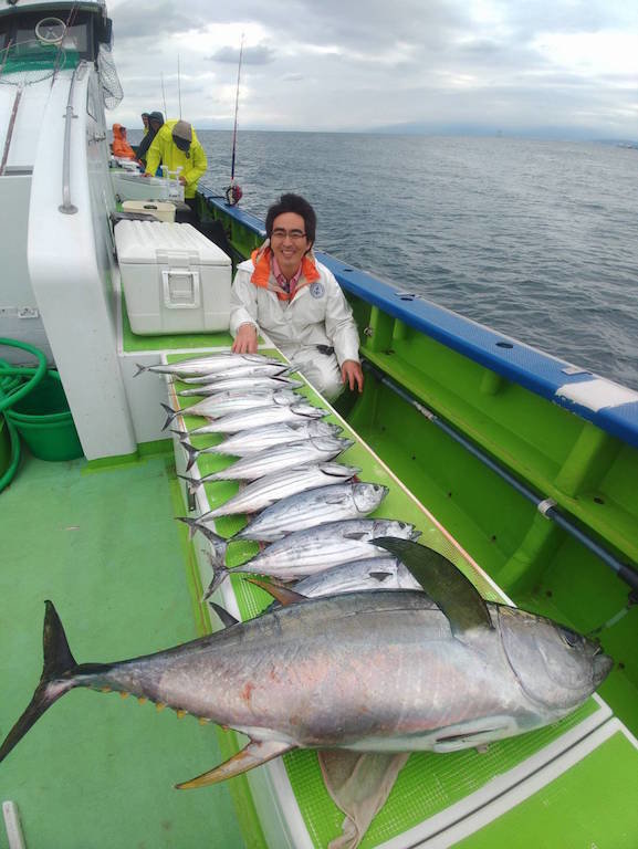 キハダマグロ(キハダ)・カツオ