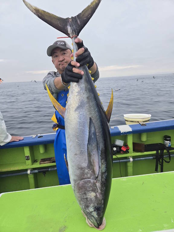 キハダマグロ(キハダ)