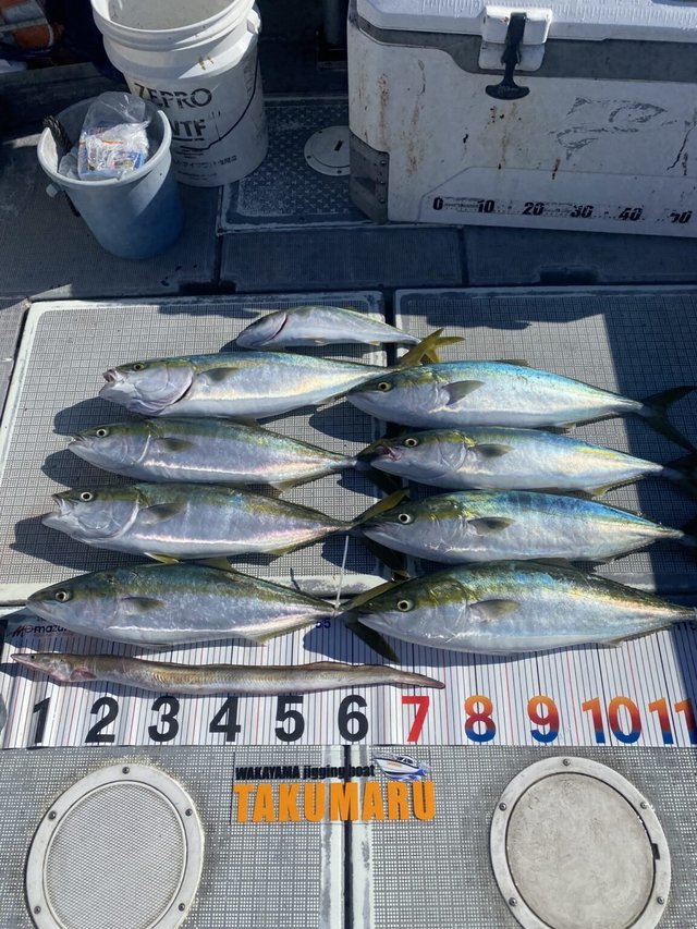 ハマチ(ブリ)・ハモ