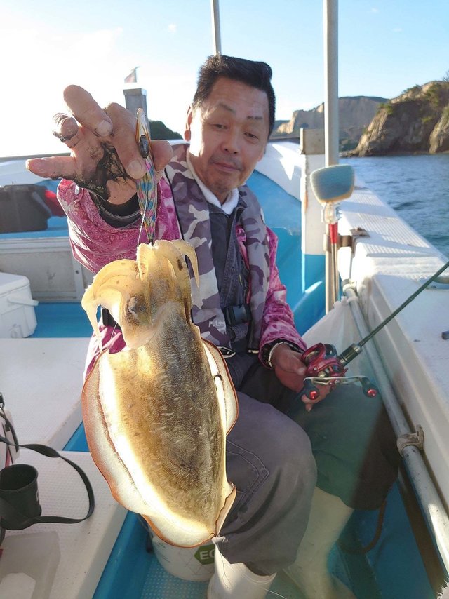 モンゴウイカ(カミナリイカ)