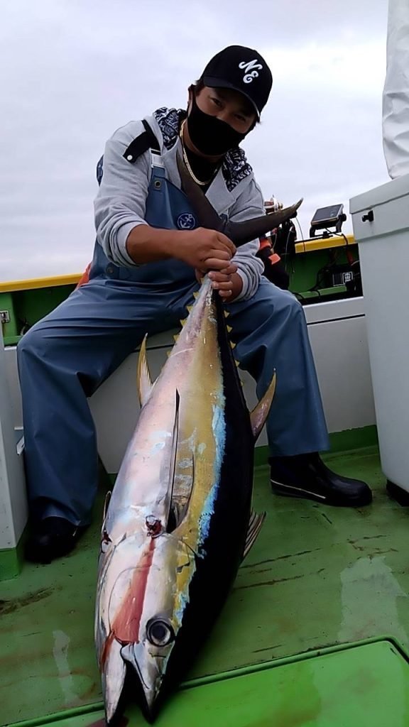 キメジ(キハダ)