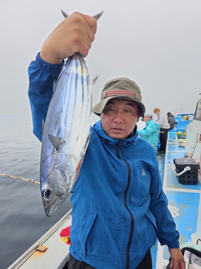 ホンカツオ(カツオ)