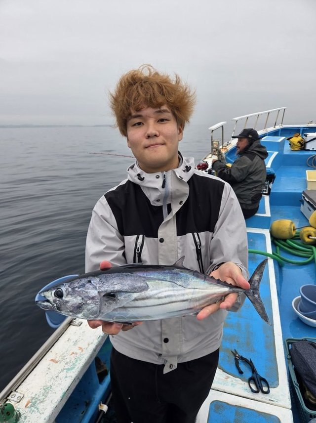 ホンカツオ(カツオ)