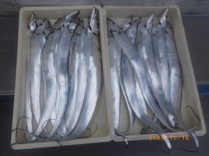 タチウオ
