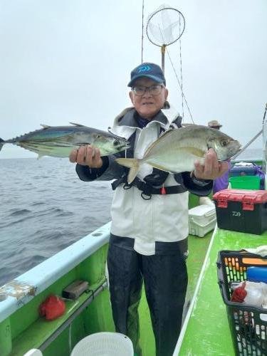 カイワリ・ホンガツオ(カツオ)