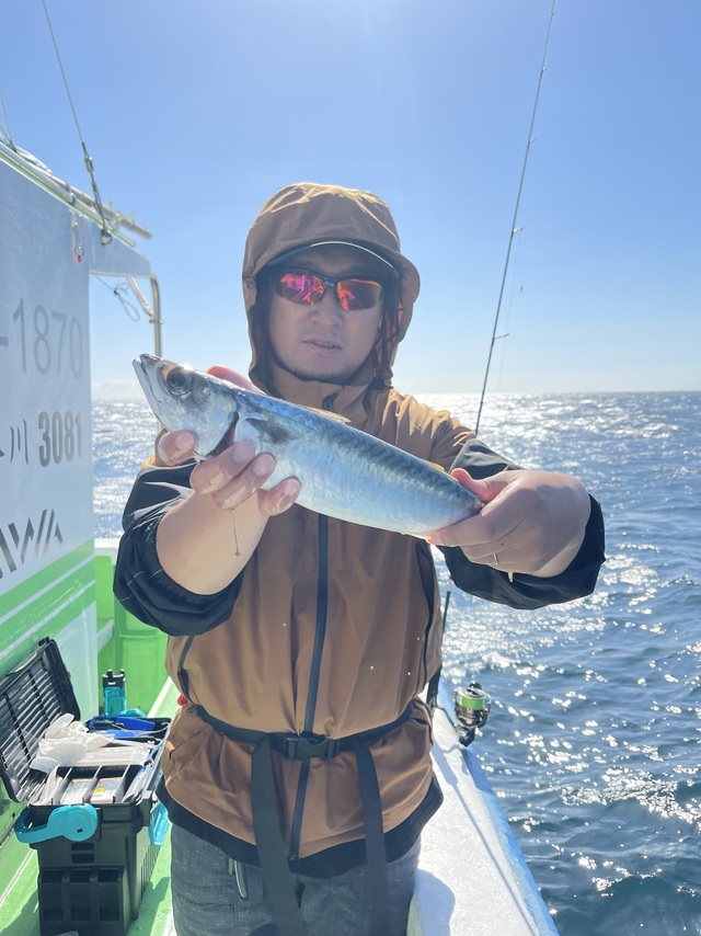 サバ(ゴマサバ)