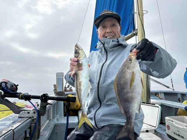 カイワリ・イサキ